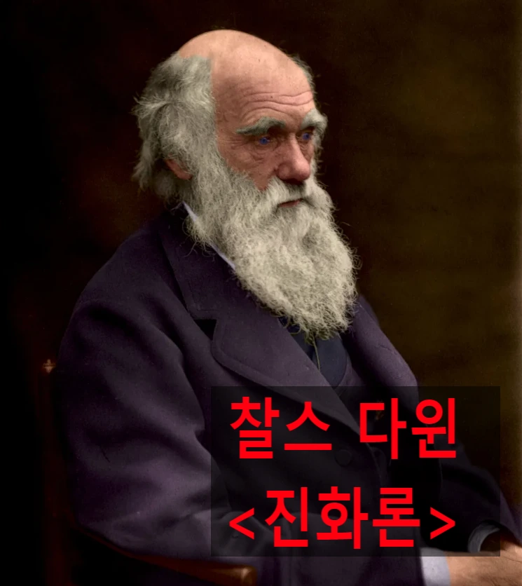 SE-8f8dcd92-f25d-4598-8410-701a8e6f93b3.png?type=w966