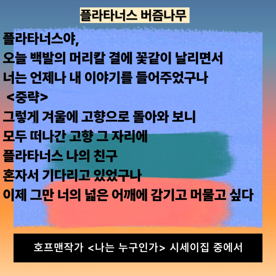 %ED%94%8C%EB%9D%BC%ED%83%80%EB%84%88%EC%8A%A4%EC%8B%9C%EC%84%B8%EC%9D%B4.png?type=w966