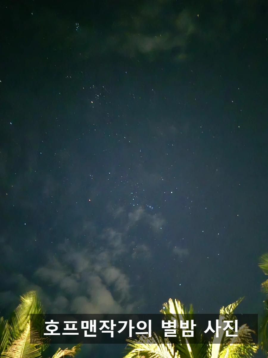 SE-92e09668-86b5-11f0-a4e0-5f8e94b14444.jpg?type=w966