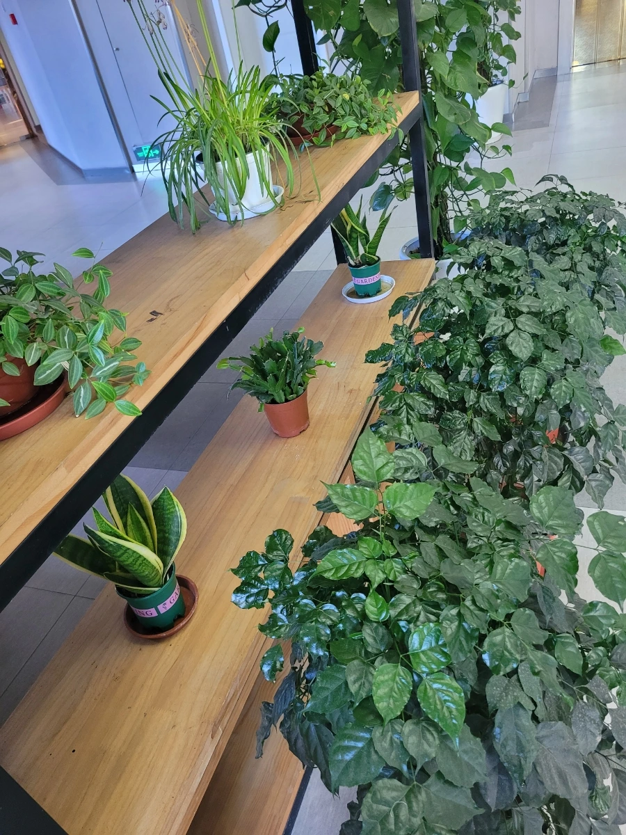 20240730%EF%BC%BF064126.jpg?type=w966