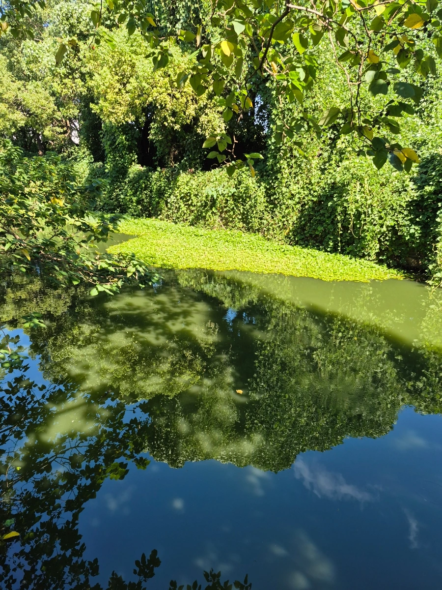 900%EF%BC%BF20250828%EF%BC%BF085017.jpg?type=w966