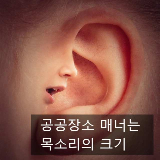 SE-0da02a1d-e106-4063-84c2-6c87a5b7c5ec.jpg?type=w966