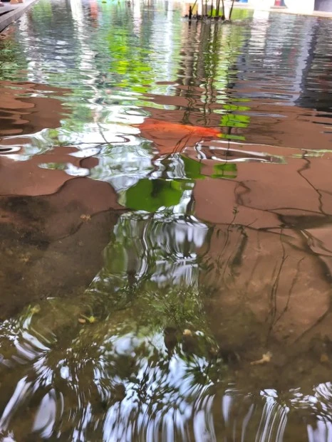 20240101%EF%BC%BF141615.jpg?type=w466