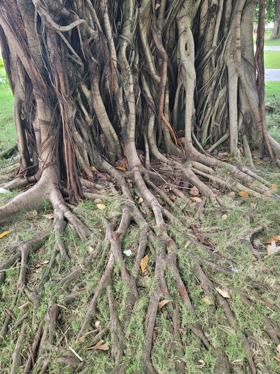 20240728%EF%BC%BF152918.jpg?type=w966