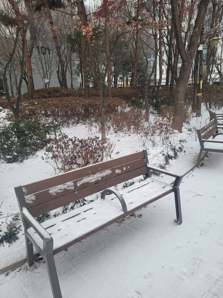 900%EF%BC%BF20250128%EF%BC%BF082118.jpg?type=w966