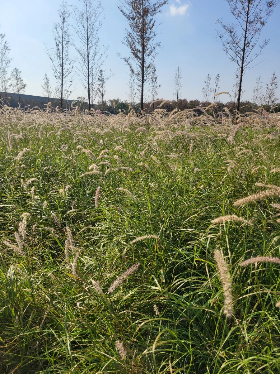 900%EF%BC%BF20241126%EF%BC%BF125300.jpg?type=w966