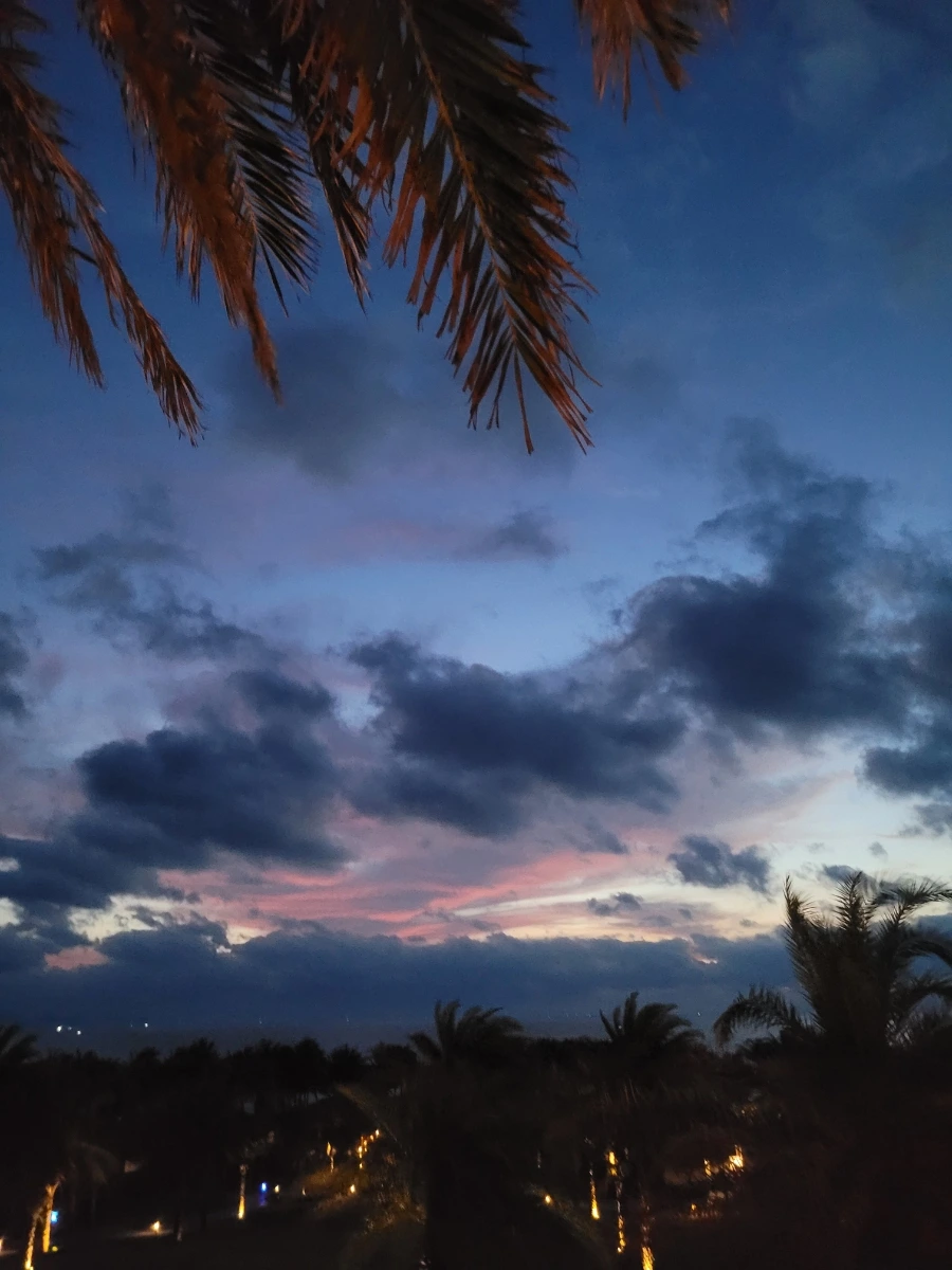 900%EF%BC%BF20250430%EF%BC%BF045629.jpg?type=w966