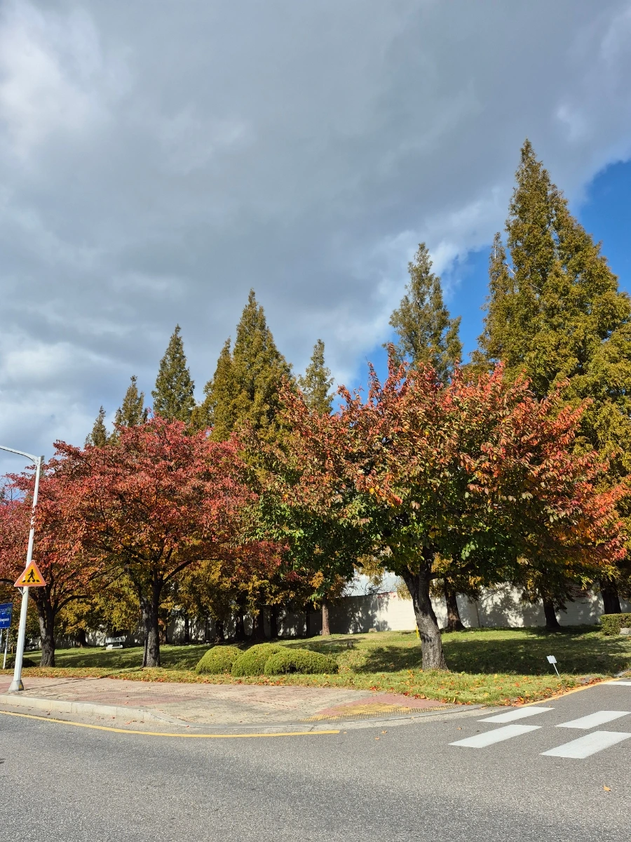 900%EF%BC%BF20251102%EF%BC%BF133600.jpg?type=w966