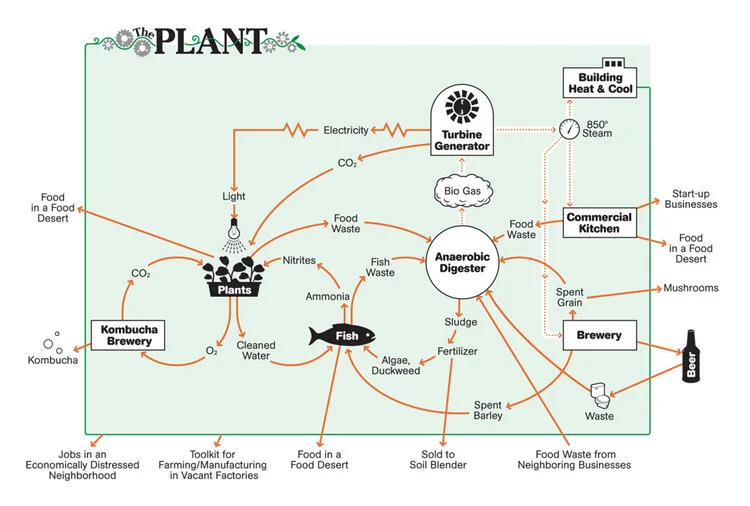 Plant_closing+loops.jpg?format=750w