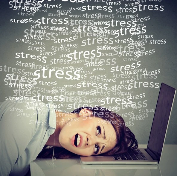 GettyImages-681440984.jpg?type=w740