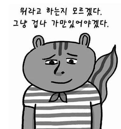 SE-ceaa4939-e82f-4ad4-b874-270cd4e6832a.jpg?type=w773