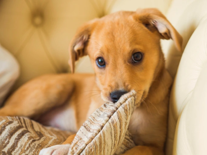 GettyImages-1210441063.jpg?type=w773