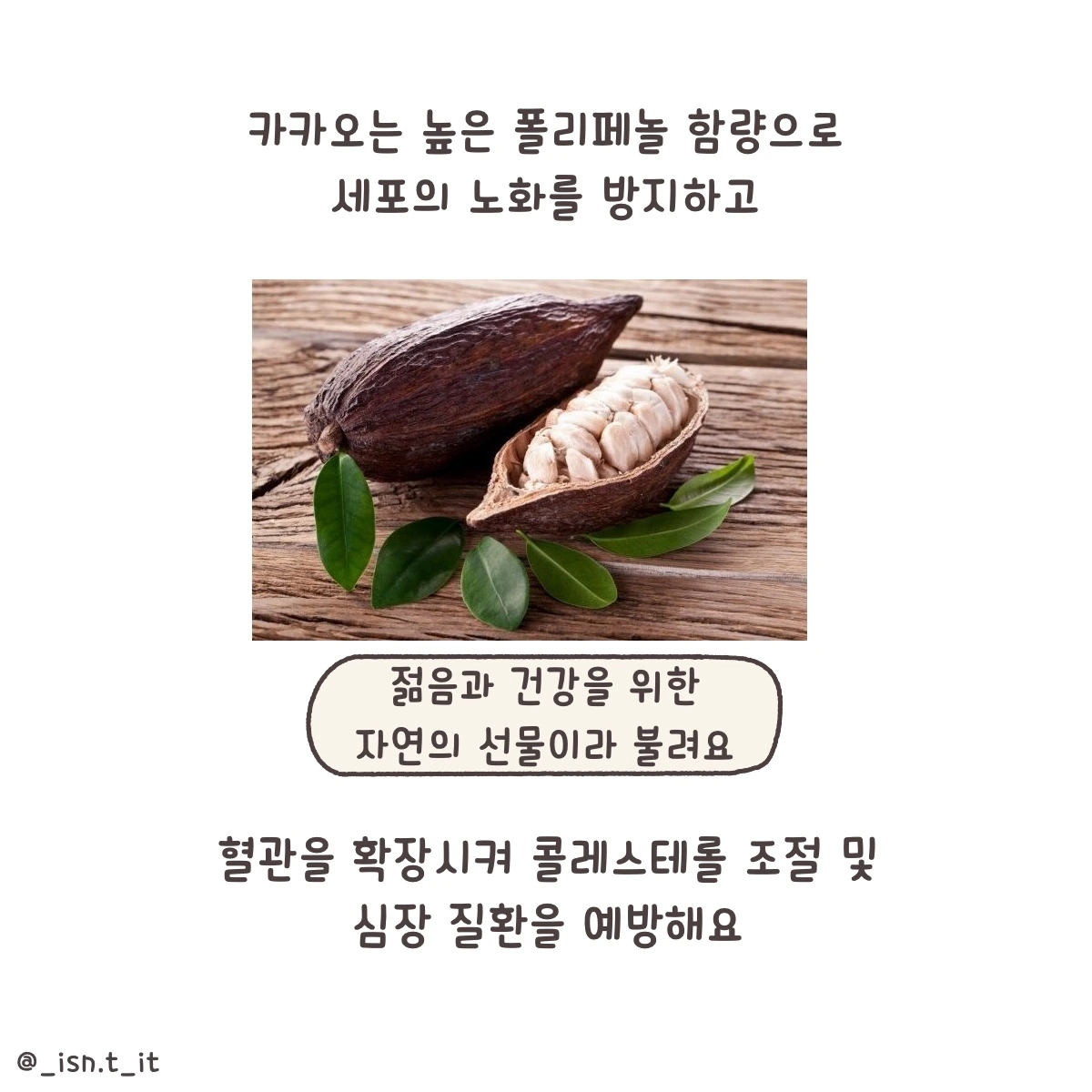 제목_없는_아트워크 221.JPG