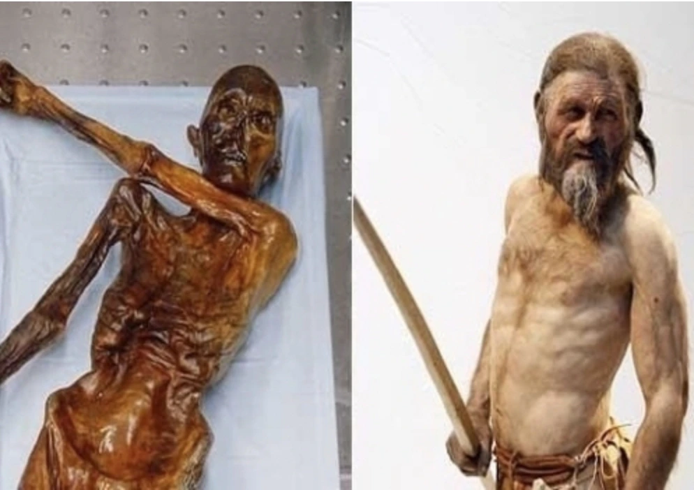 img.jpg?credential=yqXZFxpELC7KVnFOS48ylbz2pIh7yKj8&expires=1753973999&allow_ip=&allow_referer=&signature=AwriaR4%2FrxHV%2FHHhi6SLrOYw97I%3D