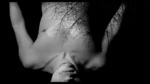 가이드 투 아이슬란드.jpeg