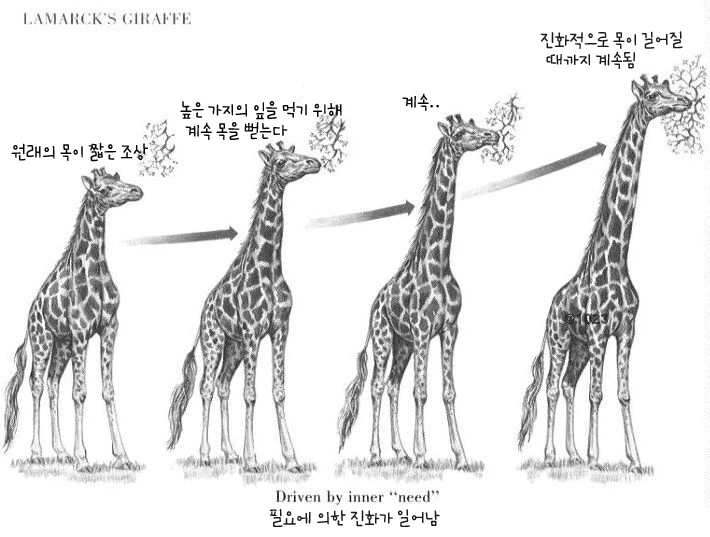 라마르크 기린.jpeg