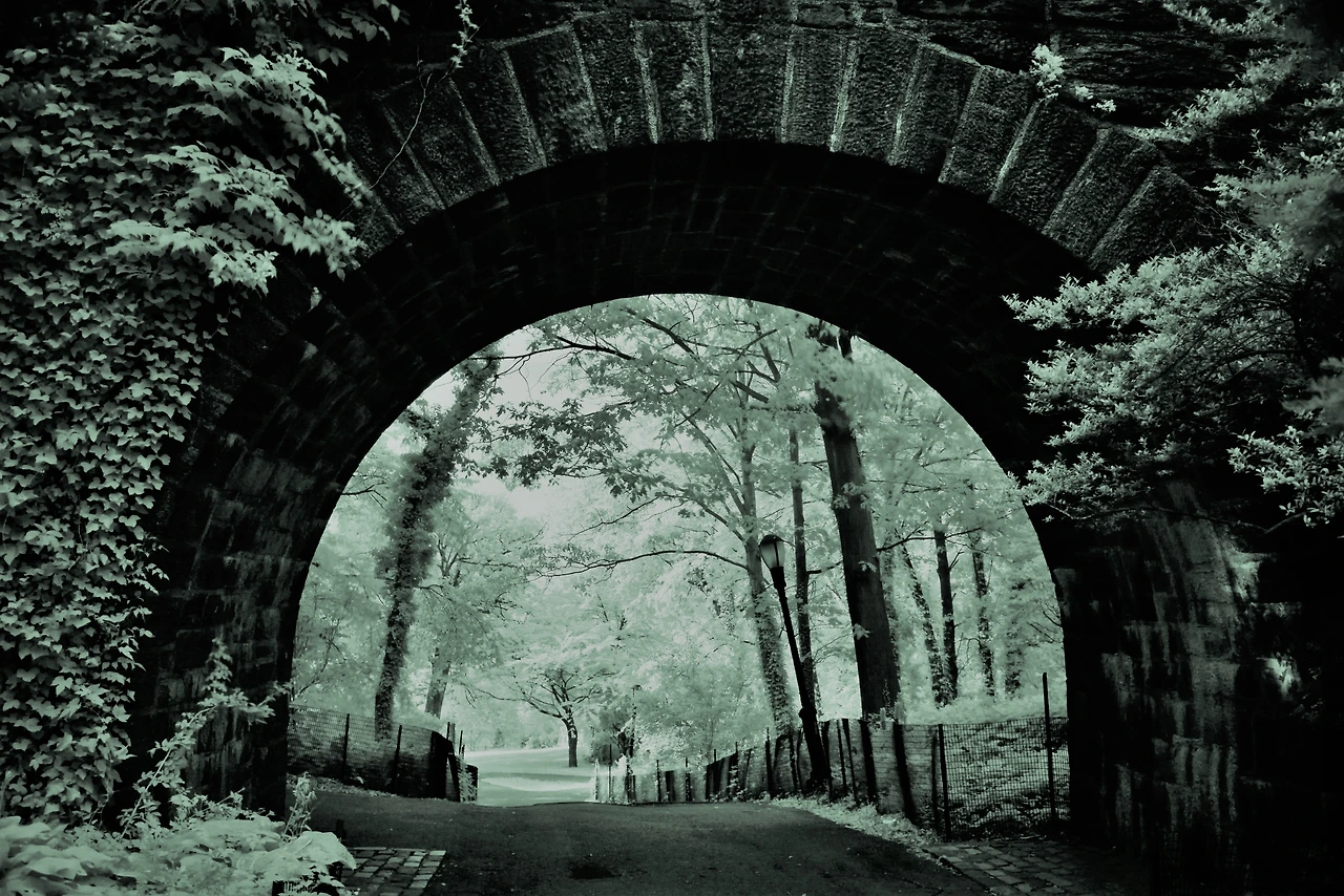 8DSC_3726-p (3)_01.JPG