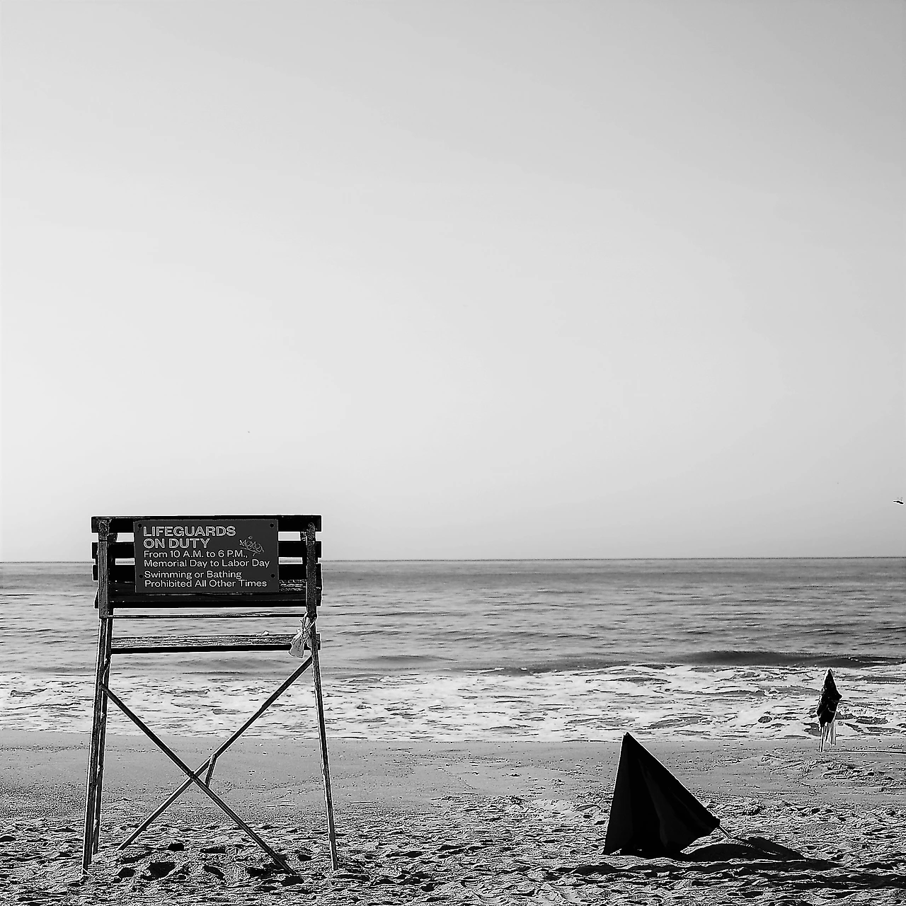 5_DSC3541_01 (2).JPG