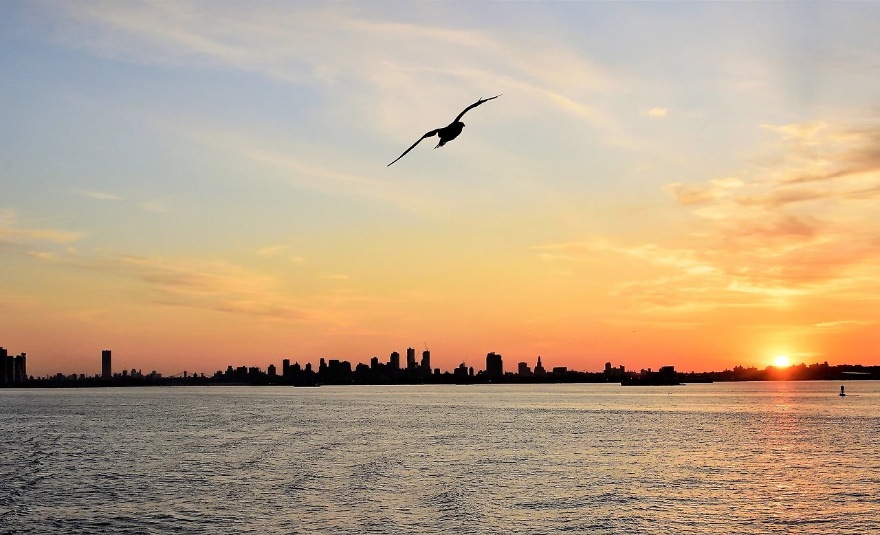 10DSC_5508-p_01 (2).JPG