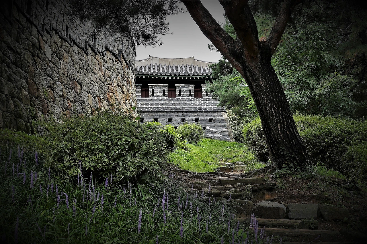 2L1130470_01 (2).JPG