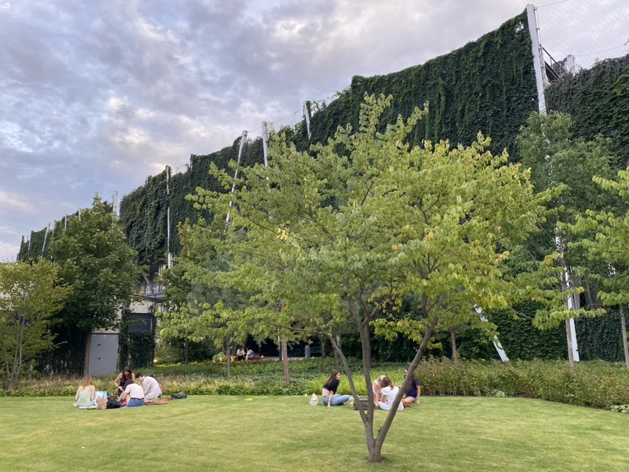 IMG_3889.jpg?type=w966