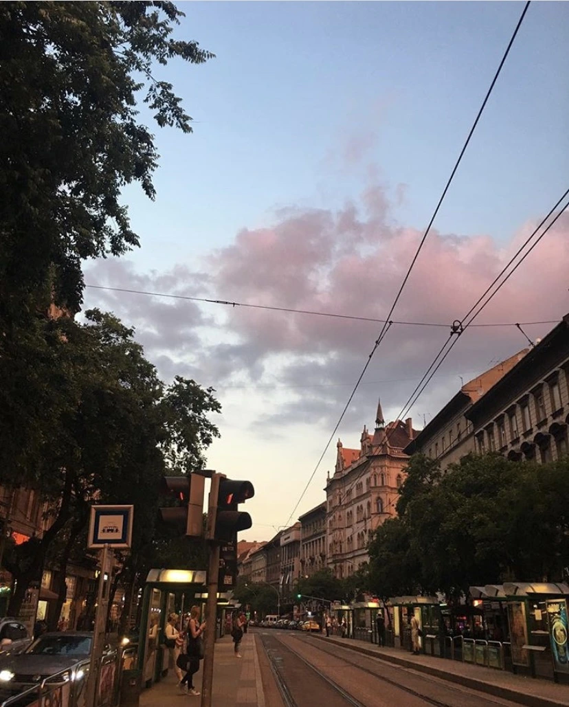 IMG_5311.jpg?type=w966