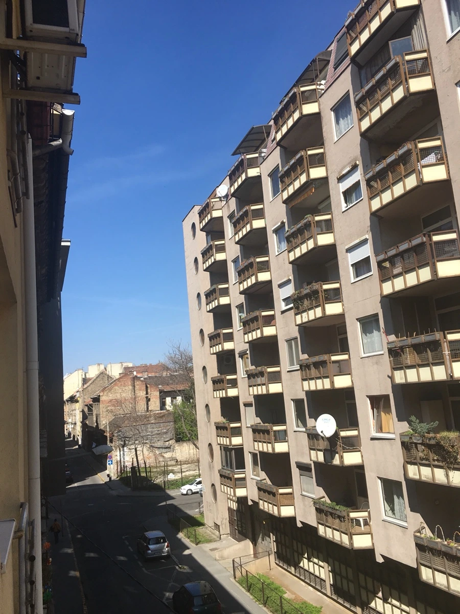 IMG_8470.JPG?type=w966