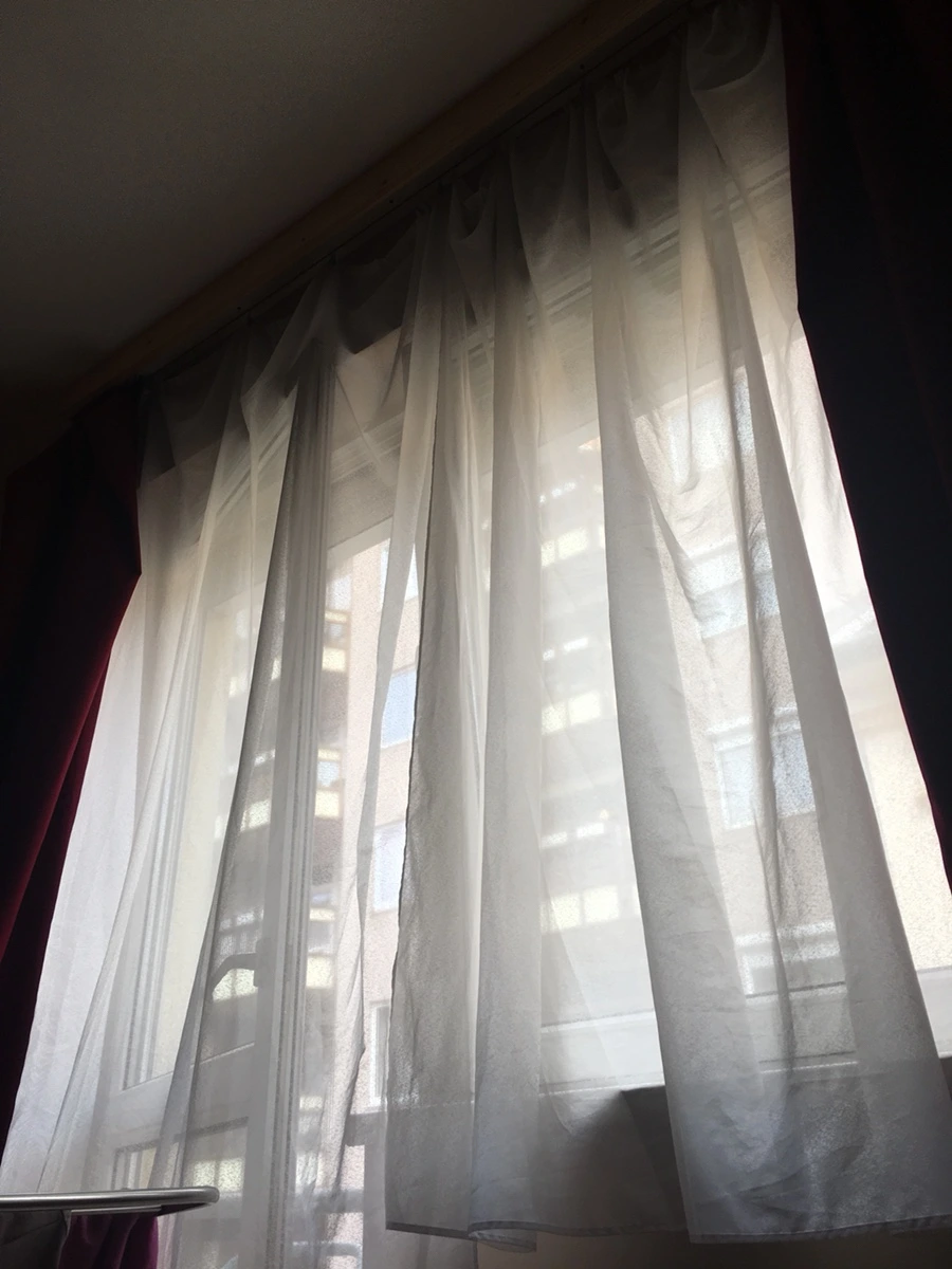 IMG_9488.JPG?type=w966