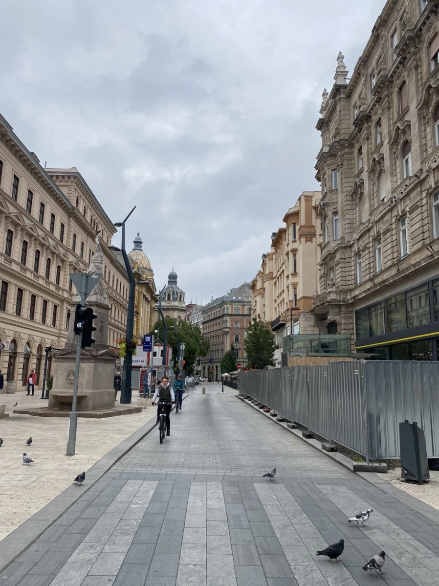 IMG_4944.jpg?type=w966