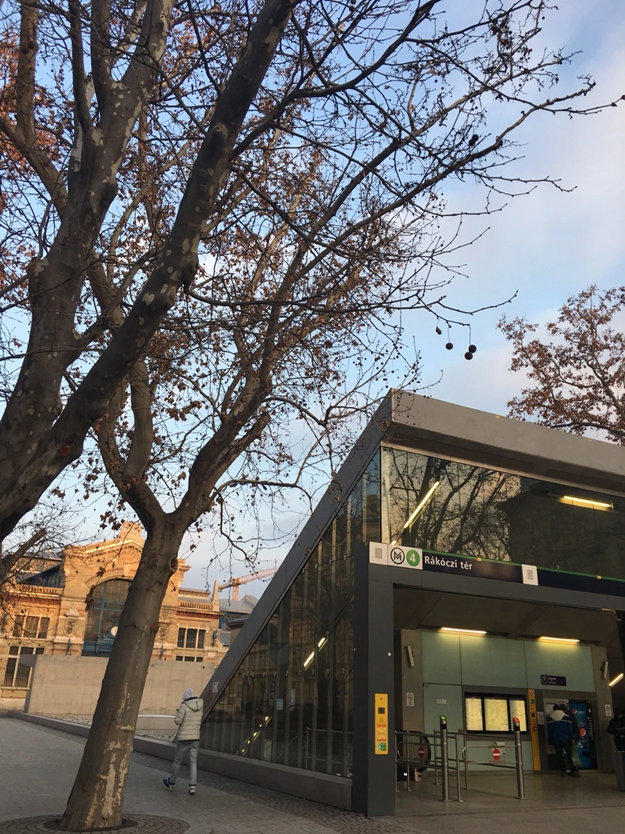 IMG_6485.JPG?type=w966