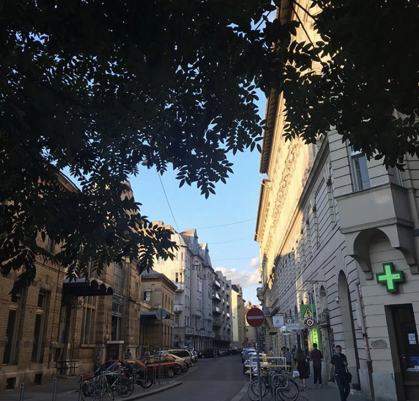 IMG_5256.jpg?type=w966