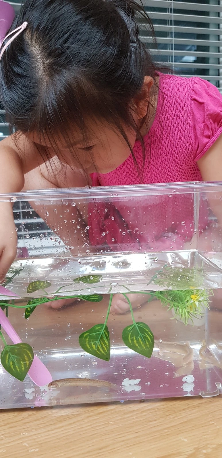 20200723_173438.jpg?type=w773