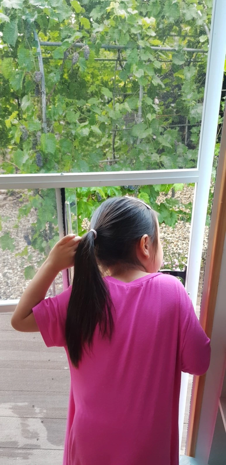 1595945182853.jpg?type=w773