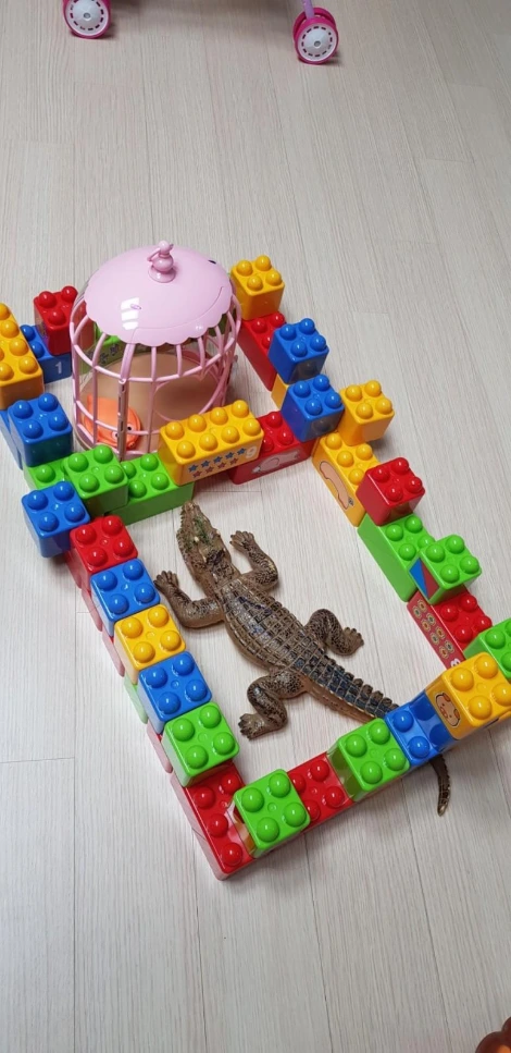 1599201742565.jpg?type=w773