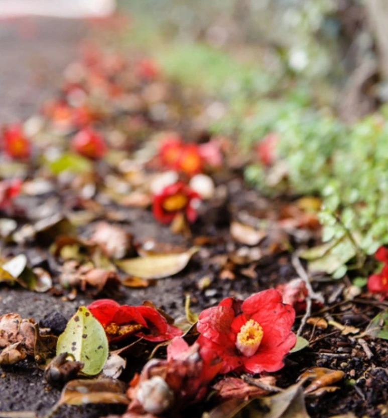 SE-41c316ef-141f-11ee-84d5-effedec233f8.jpg?type=w773