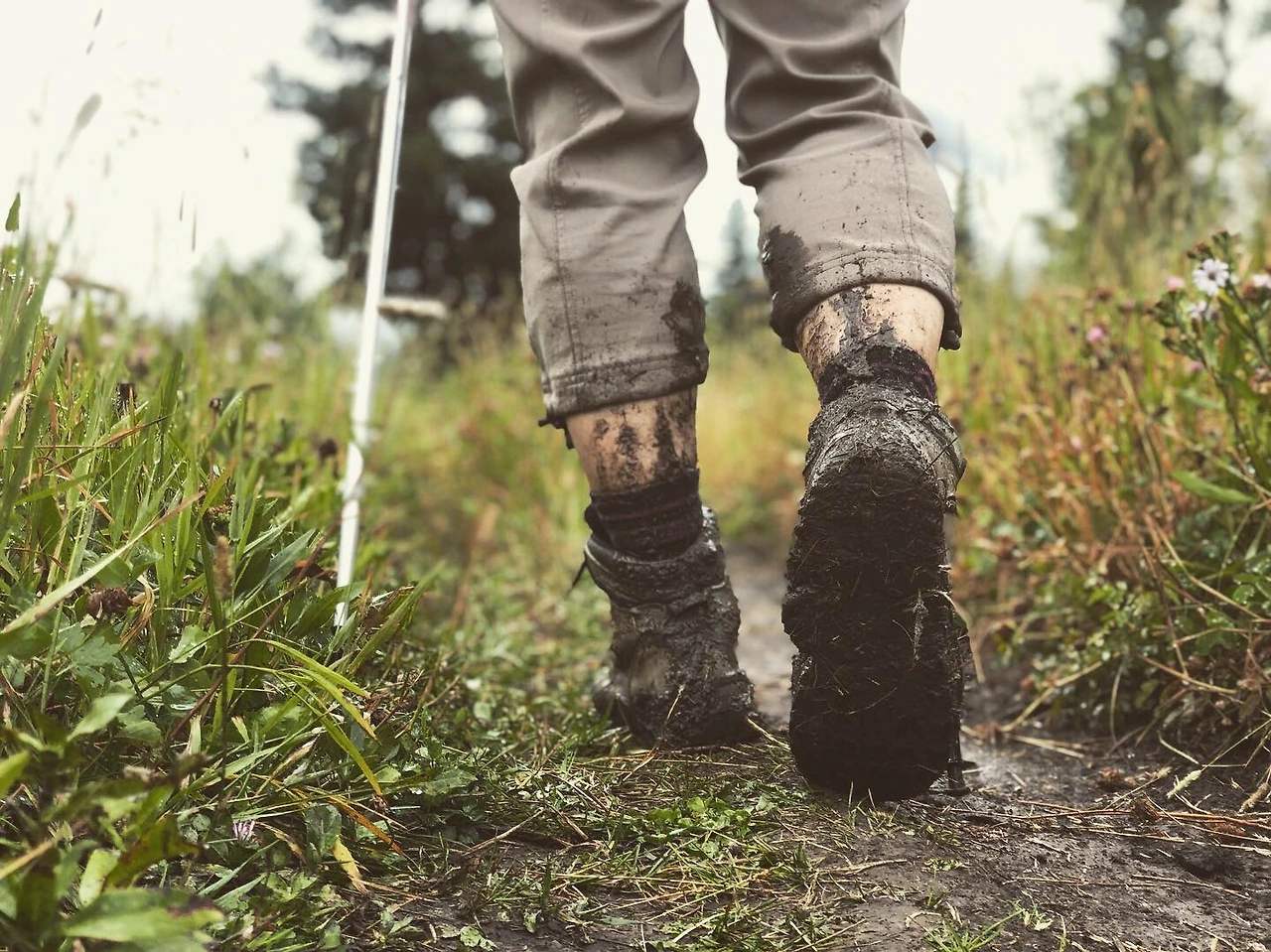 3621A2AE-25D2-481B-9BBD-1AED92382362 (1).JPG