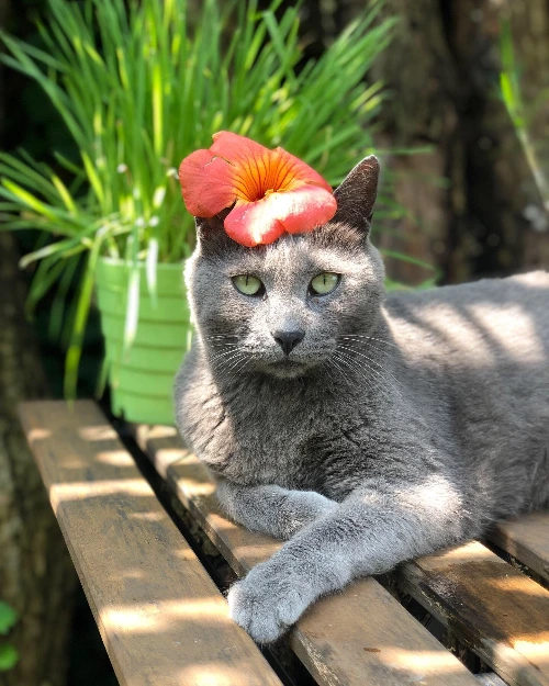 43BBD704-AA66-40EC-8A6B-0A18E629704D (1).JPG