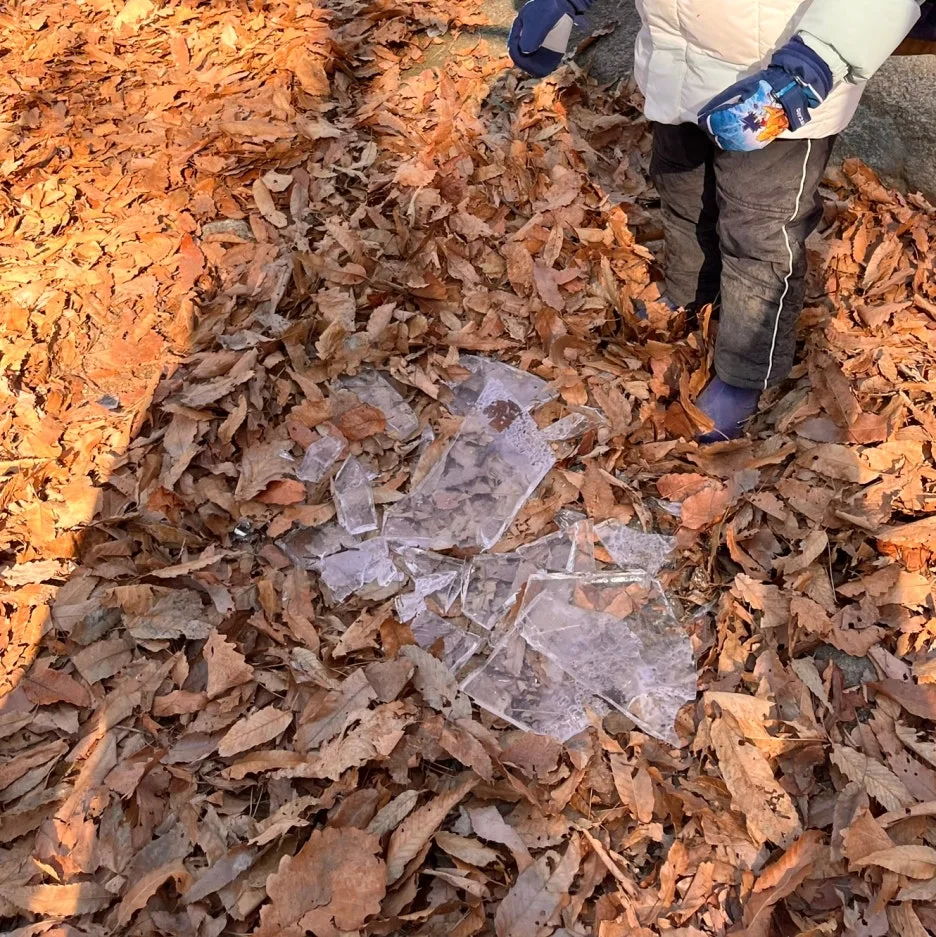 SE-406f7ebb-0547-43e9-90d4-9d5a32f75e87.jpg?type=w1