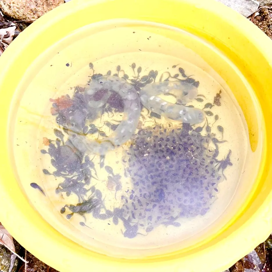 SE-22aa7c2d-f403-4e2d-8827-f23f834ae357.jpg?type=w1