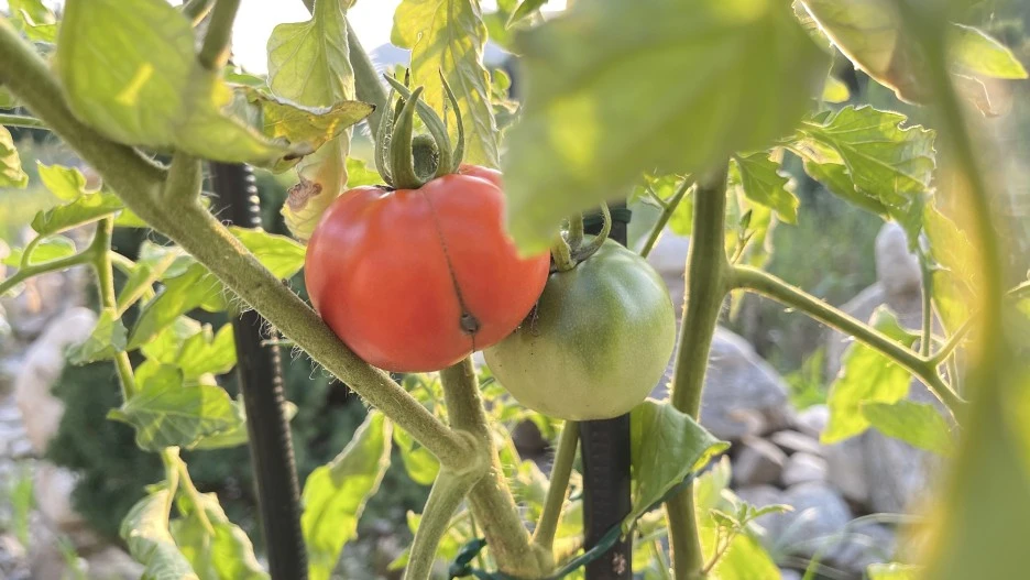 IMG_3791.jpg?type=w1