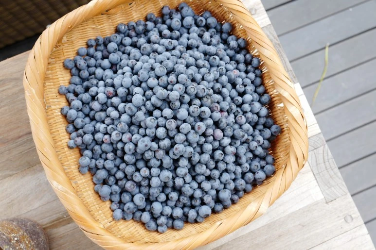 L1010246.JPG?type=w773