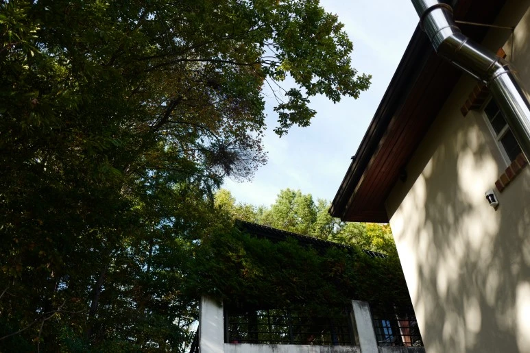 L1130925.JPG?type=w773