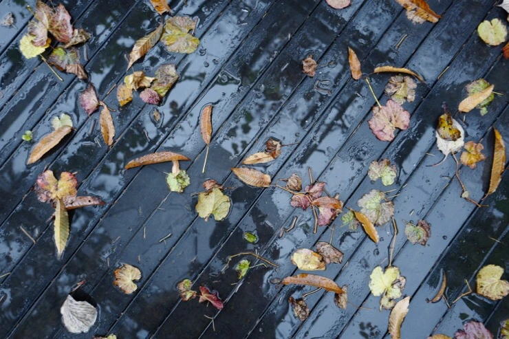 IMG_9400.jpg?type=w773