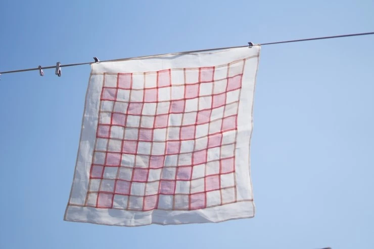 DSC07087.JPG?type=w773