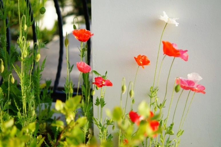 DSC01545.JPG?type=w773