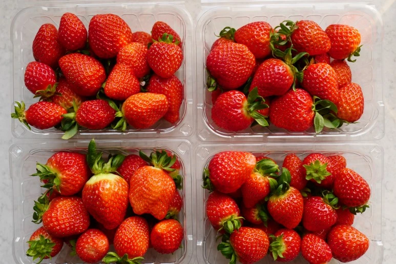 L1670818.JPG?type=w773