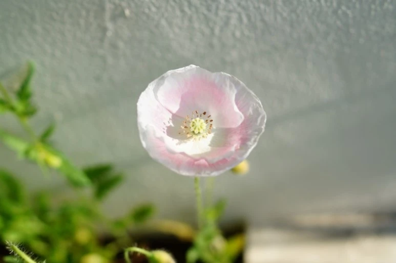 DSC01148.JPG?type=w773