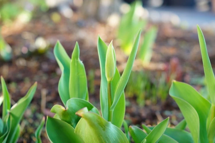 DSC05576.JPG?type=w2