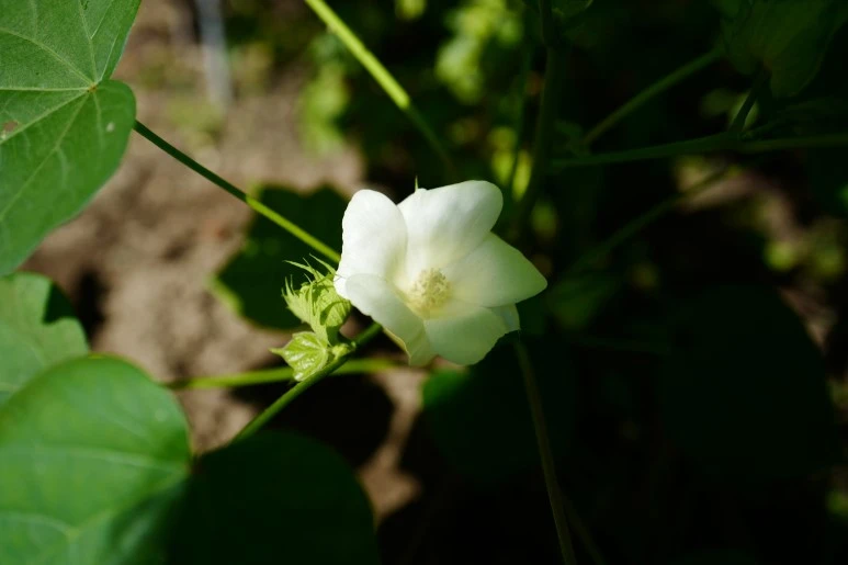 L1610881.JPG?type=w773