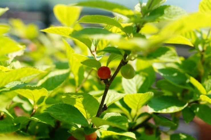 DSC00189.JPG?type=w773